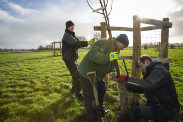 National Trust staff and volunteers planting trees in the conservation project. Image: James Dobson / National Trust Images.