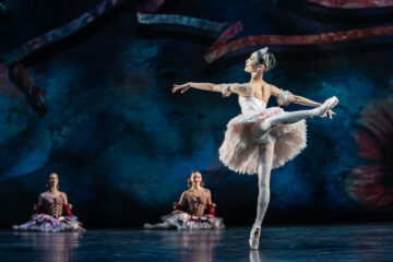 Nationwide touring version of Sir Peter Wright’s Swan Lake. Image: Bill Cooper (provided by Theatre Royal Plymouth).