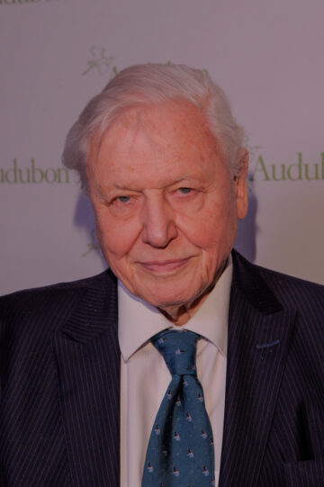 'Saving Our Wild Isles' is narrated by Sir David Attenborough who warns that ‘this starts and ends with us.’ Image: Ron Adar / Shutterstock.