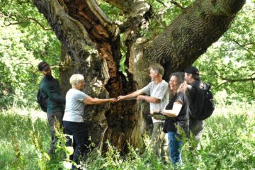 Midlothian’s Dalkeith Country Park: volunteers record data for The Woodland Trust Scotland. Image: Michelle Kelly / Woodland Trust Scotland.