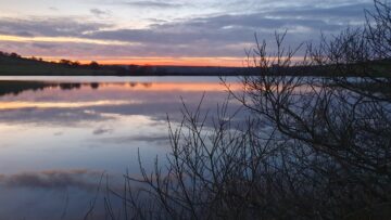 State of Nature report: The RSPB warns one in six species are at risk of being lost from the British Isles.