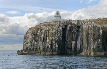 The Farne Islands, cared for by the National Trust are home to thousands of puffins which return to breed each year. Imagery provided by NT Images / Nick Upton.