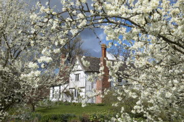 The medieval manor and Damson trees in blossom at Brockhampton Estate, Herefordshire. Courtesy of National Trust Images / John Miller.
