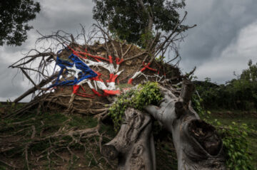 Past damage: Painted Puerto Rico state flag on uprooted tree from Hurricane Maria in San Juan, Puerto Rico (2017). Image: Steve Heap / Shutterstock.