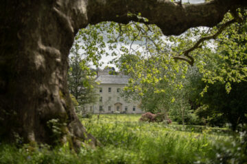 Charity plan to double the size of the country park at Saltram House in Plymouth, Devon. Copyright: National Trust / Image: Steven Haywood.