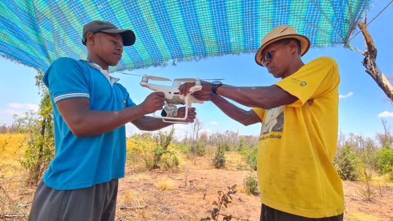 Setting up a drone for the study in Madagascar. Image: Jenny Williams / Copyright: RBG Kew.