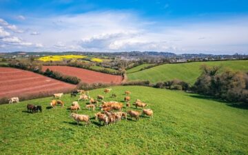Devon CPRE has launched its 'Devon Defenders' campaign. Image: Maciej Olszewski / Shutterstock.