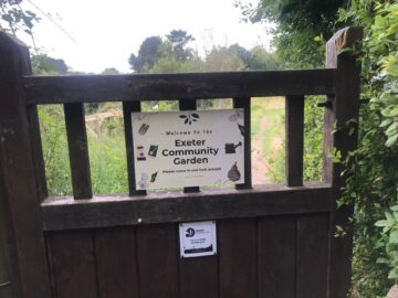 Opening the gate to a greener future: community gardens allow you to get close to nature and do a bit of physical exercise.