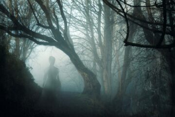 A haunted forest? Can photographs really capture the spirits of the deceased? Image: Shutterstock.