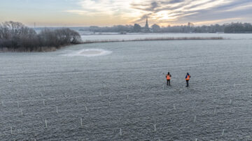 The National Trust has started planting nearly 93,000 trees at Lunt in Sefton, Merseyside, to benefit nature, people and the climate. Photograph: Paul Harris / National Trust Images.