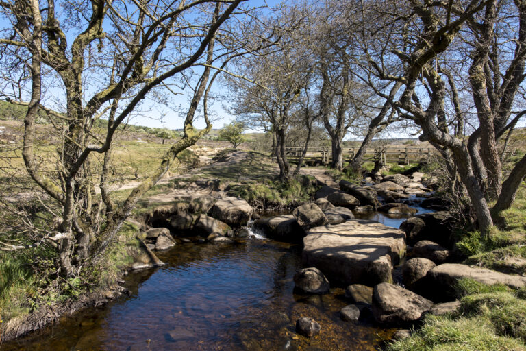 A wooden bridge over the water at Padley Gorge. Photography: Annapurna Mellor / National Trust Images.