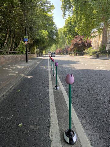 Tulip Cycle Wands provide a clear indicator to any driver that the route is designated for cyclists. Image: © Pitman Tozer.
