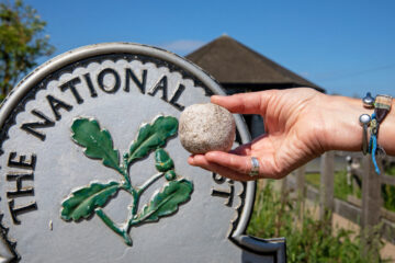 A possible medieval cannon ball found at Wicken Fen. Image copyright: Mike Selby, National Trust Images.