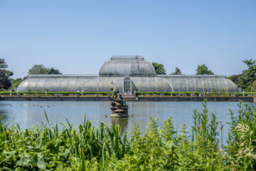 A view of the Palm House from across the pond (Summer, 2023). Image: Ines Stuart-Davidson © Board of Trustees, RBG Kew.