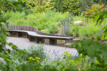 Garden for the Future: The temperate woodland area with the dry exotic beds on the far side of the path. Image: © James Dobson / National Trust Images.