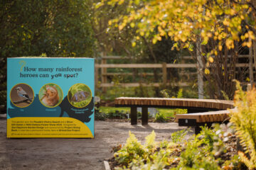 The rainforest gardens new home at Bristol Zoo. Image provided by Bristol Zoological Society.