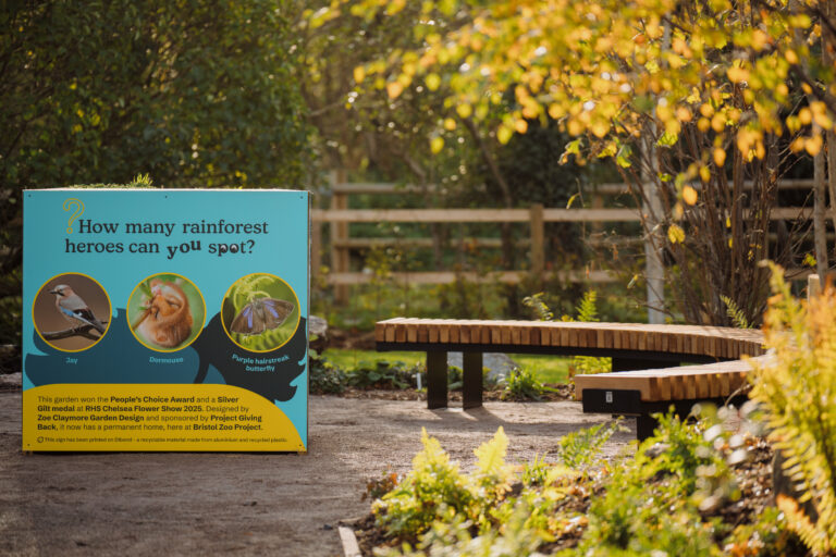 The rainforest gardens new home at Bristol Zoo. Image provided by Bristol Zoological Society.