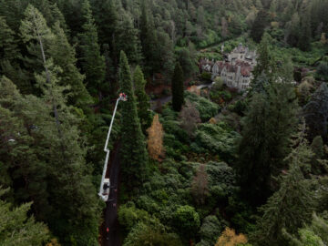 Dressing the World's Tallest Bedding Christmas Tree at Cragside. Image: © Callum Thompson / National Trust Images.