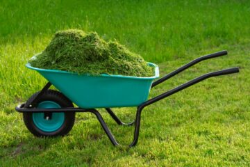 When the weather allows us to do so then experts explain that January can be the perfect time to see the real condition of our lawns. Image: Vadzim Shubich / Shutterstock.