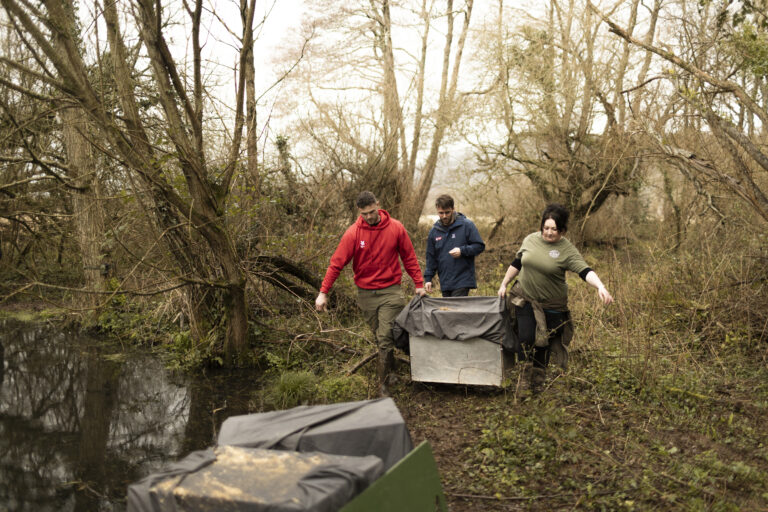 Wild beavers are carried to the release site on the Holnicote Estate, Somerset. Image: © James Beck / National Trust Images.