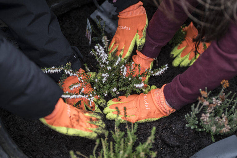 Glasgow Wild Spaces launch. Image: Julie Broadfoot (provided by Butterfly Conservation).