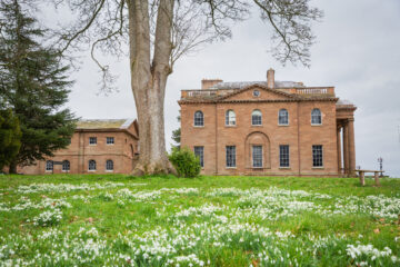 Snowdrops in front of Berrington Hall. Image: James Dobson / National Trust Images.