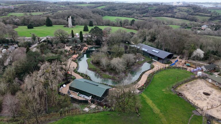 Bristol Zoo Project's African Forest. Image: John Penny (provided by Bristol Zoo Project).