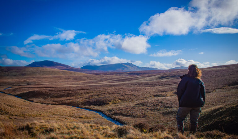 Are butterflies the new ‘canary in the coalmine’?