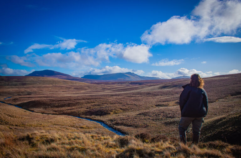 ‘Going out to count the butterfly each summer could provide us with invaluable data,' says Georgina Paul. Photography: Aaron Houghton (provided by Butterfly Conservation).