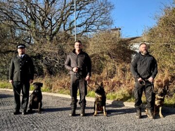 Group photo (from left to right): PC John Warren and PD Albert, PC Noah Tilley and PD Gus, PC Luke Barnard and PD Sid. Image: D&C Police.