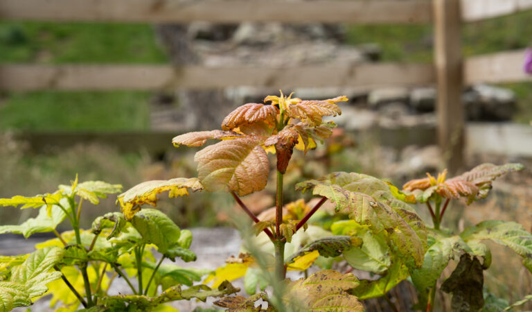 Creating a lasting legacy…